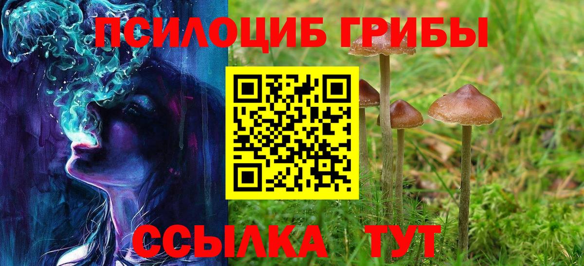 Галлюциногенные грибы Magic Shrooms  Галлюциногенные грибы Cubensis  продажа наркотиков  Сланцы  Вход с VPN 