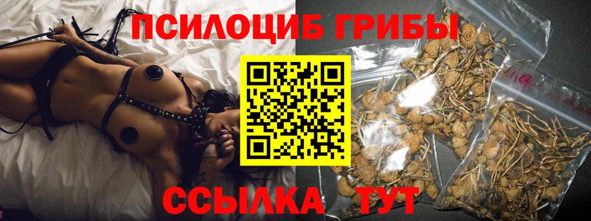 Псилоцибиновые грибы Psilocybe Сланцы