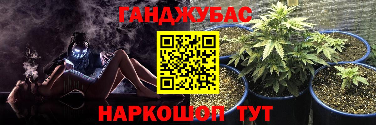 Конопля план  Вход с VPN  Бошки марихуана Amnesia  Сланцы  Канабис гибрид 